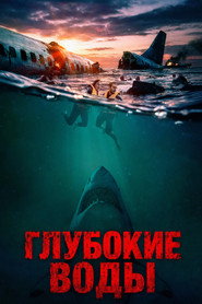 Постер: Крушение рейса