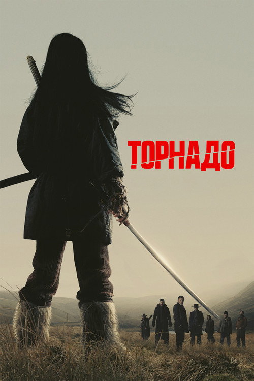 Постер: Торнадо