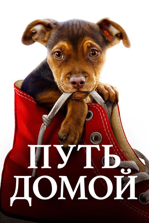 Постер: Путь домой