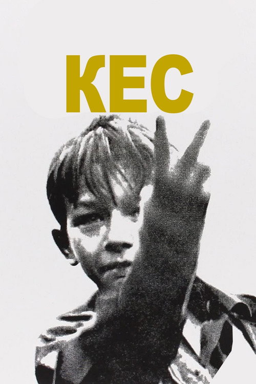 Постер: Кес